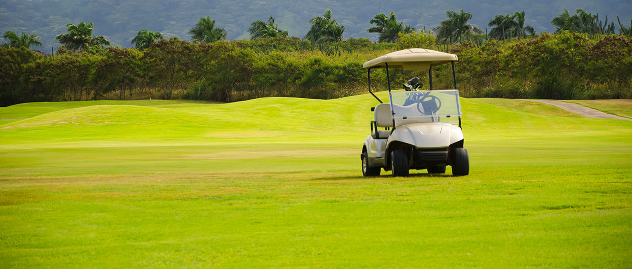 golf cart on green